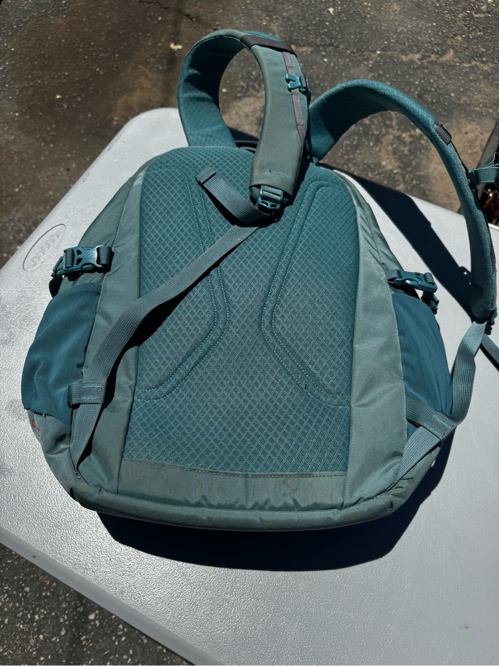 Patagonia Daypack Backpack | Green | Lightweight Hiking, Travel & Everyday Bag - Picture 2 of 7